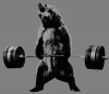 bear-deadlift-gray1-300x262